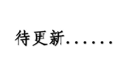 益氣通竅丸_條裝